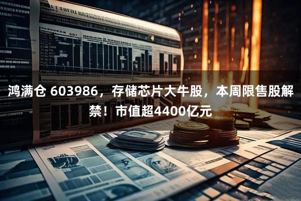 鸿满仓 603986，存储芯片大牛股，本周限售股解禁！市值超4400亿元