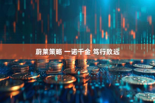 蔚莱策略 一诺千金 笃行致远