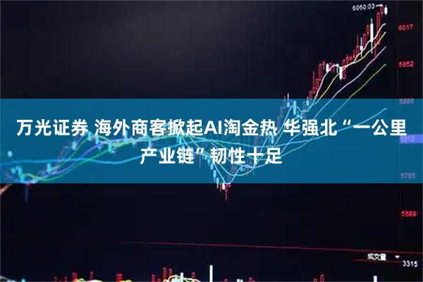 万光证券 海外商客掀起AI淘金热 华强北“一公里产业链”韧性十足